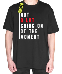 Remera Not A Long Going On At The Moment - Taylor Swift