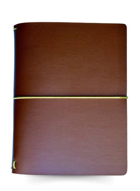 CAPA MARROM [caramelo] - comprar online