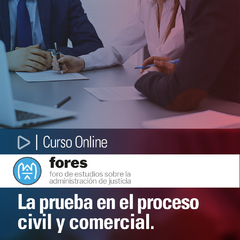 Curso Online: La prueba en el proceso civil y comercial. Hacia la eficacia de los derechos.