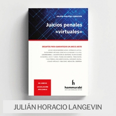 Libro: Juicios penales «virtuales»