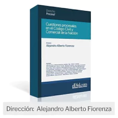 Libro: Cuestiones procesales en el Código Civil y Comercial de la Nación.