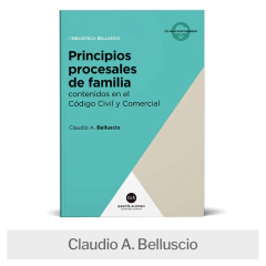 Libro: Principios procesales de familia contenidos en el Código Civil y Comercial