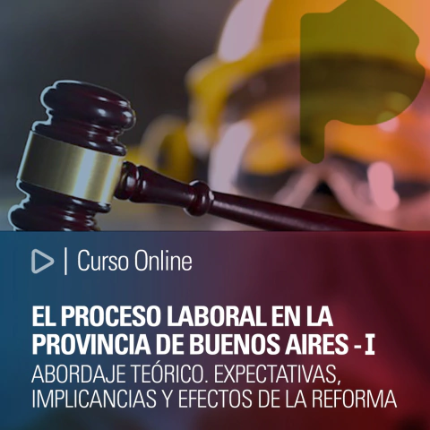 Curso: El proceso laboral en la provincia de Buenos Aires - I . Abordaje teórico. Expectativas, implicancias y efectos de la reforma