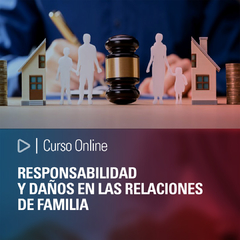 Curso Online: Responsabilidad y daños en las relaciones de familia