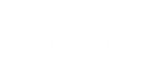 flor de lis acessorios