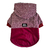 Jacket ¡Marroqui!