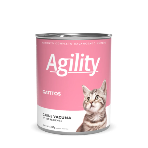 Agility Kitten - comprar online
