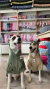 Buzo Dino Crema Plush | Media Estación | Que Mona Mascotas en internet