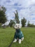 Polera Verde Esmeralda Plush Big para Mascotas | Cuello Ajustable | Que Mona Mascotas en internet