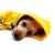 Piloto de lluvia Baxter ¡AMARILLO! en internet