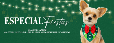 Imagen del carrusel 1