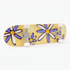 Skate importado HSC - Colors - Garden na internet