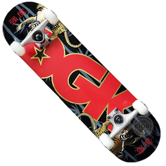 Skate Completo Profissional DGK - Strength 8.25"
