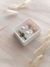 Abridor Big Pearl - comprar online