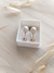 Abridor Big Pearl en internet