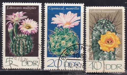 1922 ..... ALEMANHA D D R - FLORES - 1975 - USADO