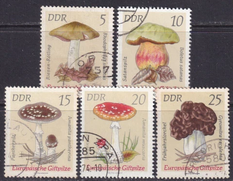 1933 / 7 ....... ALEMANHA - D D R - COGUMELOS - SERIE USADA