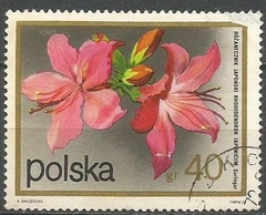 19834 POLONIA - FLOR