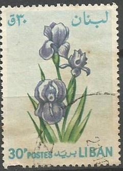 33158 LIBANO - FLORES