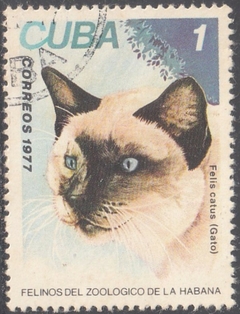 35946 ..... C U B A - FELINOS DO ZOOLOGICO DE HAVANA - 1977 - USADO
