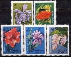 3791/5 RUSSIA - FLORES TROPICAIS - 1970 - SERIE COMPLETA COM MARCA DE CHARNEIRA