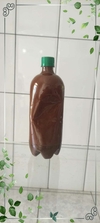 1 litro Ayahuasca Pura Banisteriopsis caapi (Jagube) + Chacrona (Rainha) Graduação 3/1