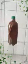 1 litro Ayahuasca Pura Banisteriopsis caapi (Jagube) + Chacrona (Rainha) Graduação 3/1