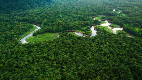 Rapé Indígena 7 Ervas Sagradas Da Amazônia 30 g