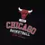 Camiseta regular chicago bulls new era na internet