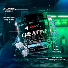 Creatina Painlabs Micronizada 100% Monohidrato Puro 60 Serv - tienda online