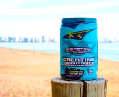 Creatina Monohidrato Micronizada 500 Grs Htn Con Vit. C en internet