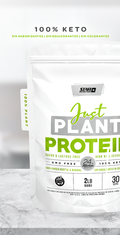 Just Plant 2lbs Star Nutrition Proteína Vegana Natural Sin Tacc - tienda online
