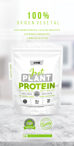 Imagen de Just Plant 2lbs Star Nutrition Proteína Vegana Natural Sin Tacc