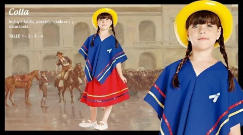 disfraz Colla mujer c/ sombrero y poncho T1
