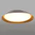 VK-BITZ-BLOR-36W-WW DIM