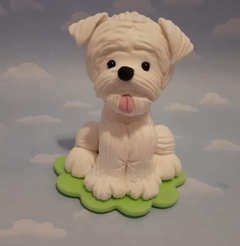 Adorno Torta perritos gatito en internet