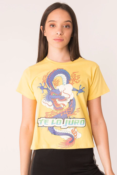 Remera Dragon en internet