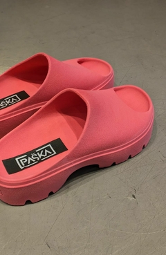 ARUBA Fucsia en internet