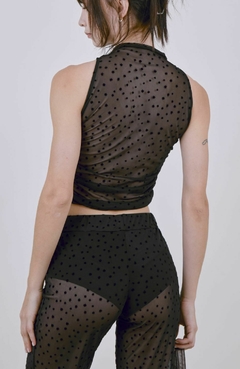 Pantalon COAST STAR en internet