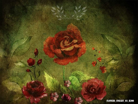 Fundo fotográfico FLOWERS - 03