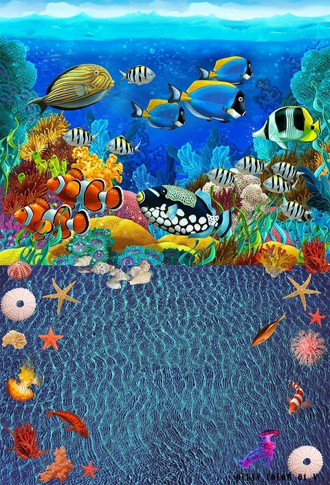 Fundo fotográfico OCEAN COLOR - 1