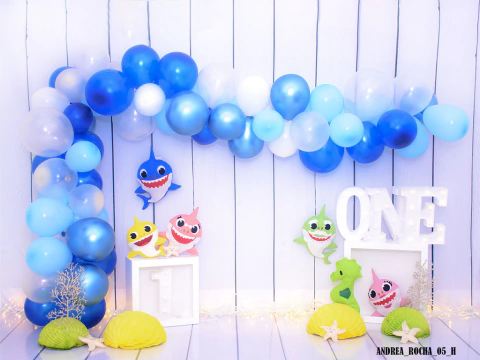 Fundo fotográfico ANDREIA ROCHA - 5