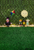 Fundo fotográfico ANDREA ROCHA - 14 - comprar online