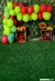 Fundo fotográfico ANDREA ROCHA - 21 - comprar online