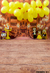 Fundo fotográfico ANDREA ROCHA - 22 - comprar online