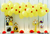 Fundo fotográfico ANDREA ROCHA - 23 - Cirandinha Fundos Fotográficos e decoração de Festas 