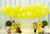 Fundo fotográfico ANDREA ROCHA - 23 - comprar online