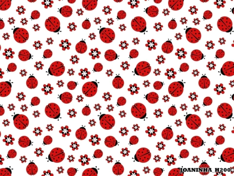 Fundo fotográfico Joaninha