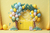 Fundo fotográfico Balão-2023141