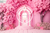 Fundo Fotográfico Casinha Barbie-2023502
